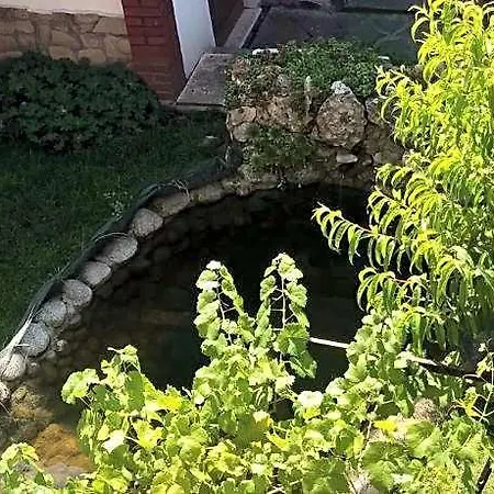 Luxury In The Mountain بانسكو